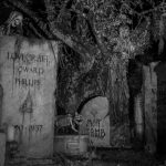 2015-davis-graveyard-night-8696-2