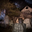 tn_2015 Davis Graveyard Night-8690-2
