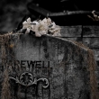 tn_Davis Graveyard - Farewell Tombstone