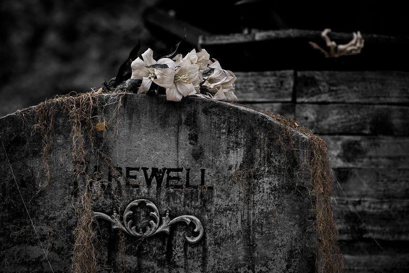 tn_Davis Graveyard - Farewell Tombstone