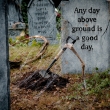 davis-graveyard-2011-day-1-3051