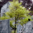 davis-graveyard-2011-day-1-3070