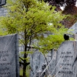 davis-graveyard-2011-day-1-3074-2