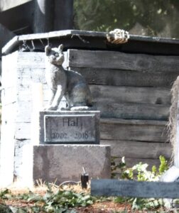 Pet Memorial Statue Class  Date TBD  6pm (2 parts)