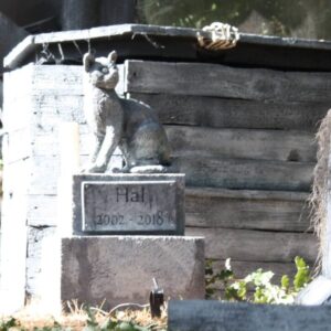 Pet Memorial Statue Class  Date TBD  6pm (2 parts)