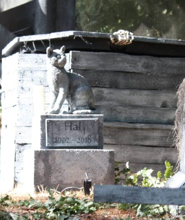 Pet Memorial Statue Class  Date TBD  6pm (2 parts)