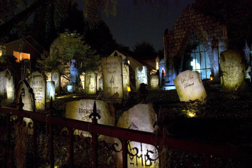 Davis Graveyard 2014