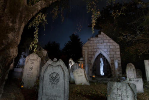 2015-Davis-Graveyard-Night-8689