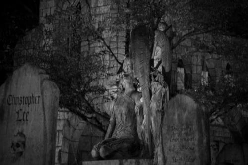 2015-Davis-Graveyard-Night-8693-3