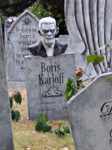 PXL 20250929 150623543