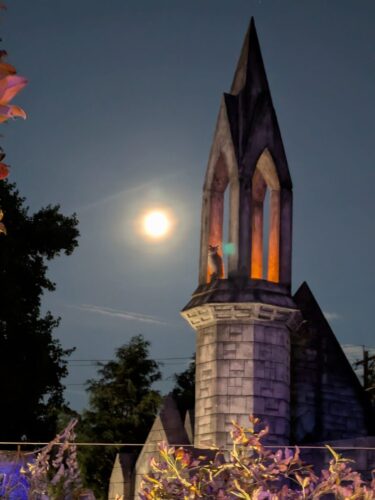 PXL 20251005 023107015.NIGHT