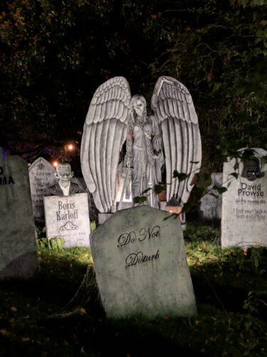 PXL 20251017 043622735