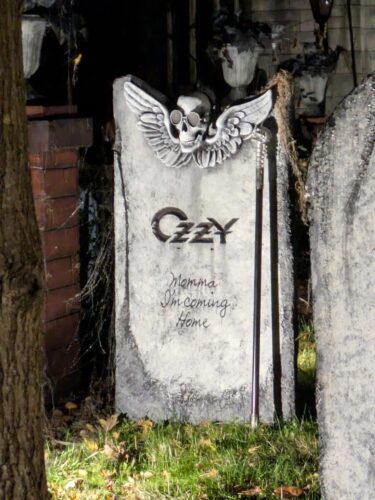 PXL 20251017 043711973