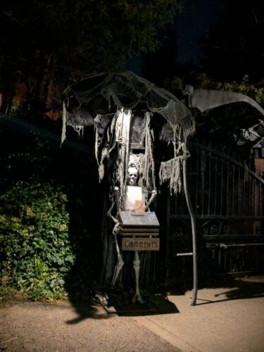 PXL 20251017 043812631