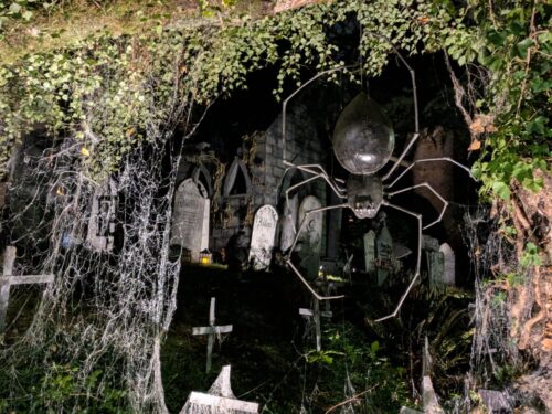 PXL 20251017 044141269.PORTRAIT.ORIGINAL