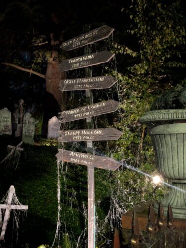 PXL 20251017 044205984.MP