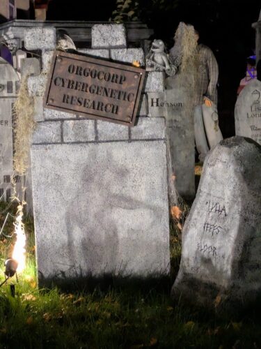 PXL 20251017 044440476