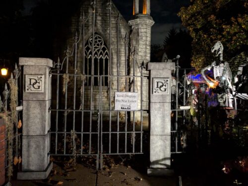 PXL 20251017 044742009