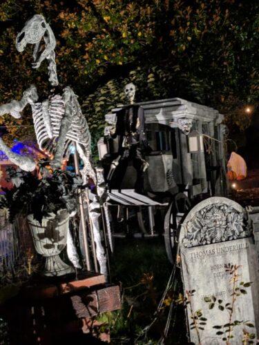 PXL 20251017 044913634