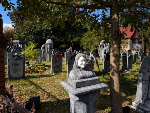 PXL 20251017 203555150