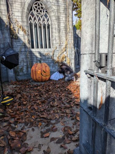 PXL 20251018 171821401