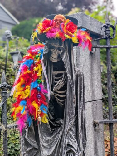 PXL 20251018 234053540.PORTRAIT