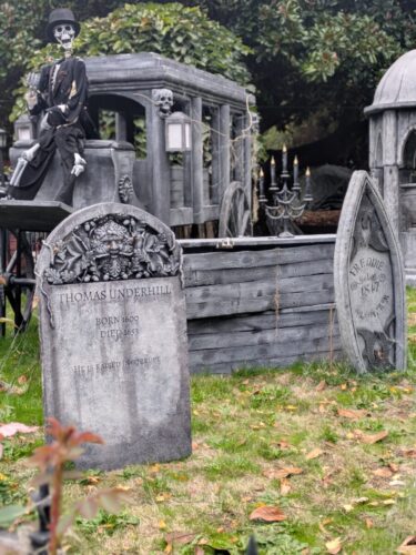 PXL 20251018 234113024.PORTRAIT